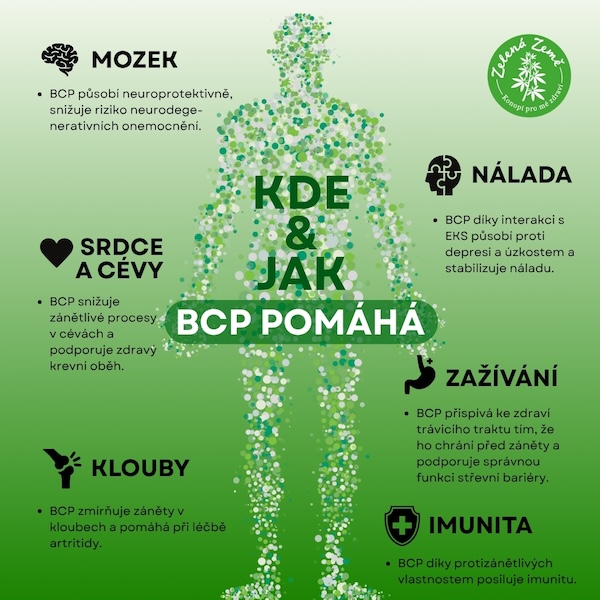 kdeajakBCP