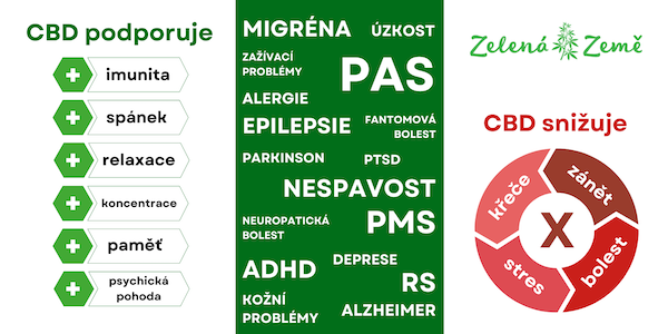 Jak CBD účinkuje?